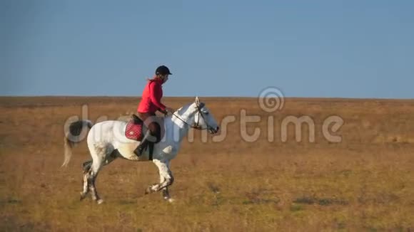 女人骑着一匹马驰过田野慢动作视频的预览图