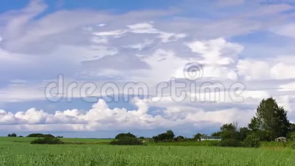 云飞过田野视频的预览图