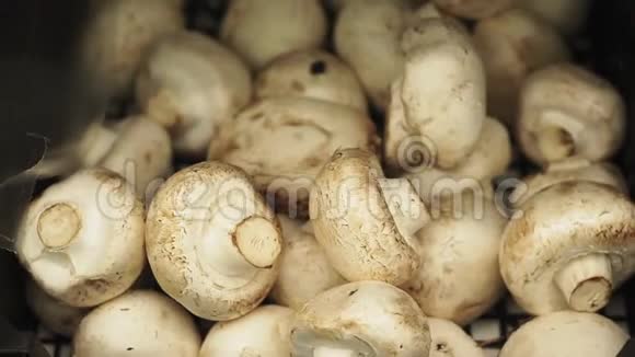 市场柜台上的蘑菇香瓜特写视频的预览图