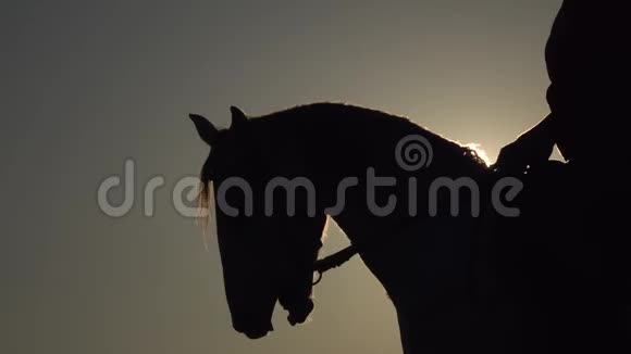 日落时女性骑马的侧景慢动作关门视频的预览图