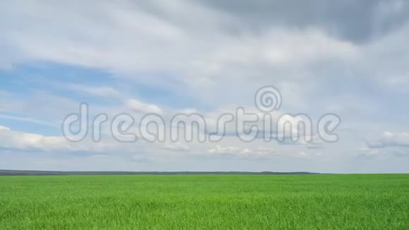 带移动云的时间推移绿野播种小麦种植作物视频的预览图