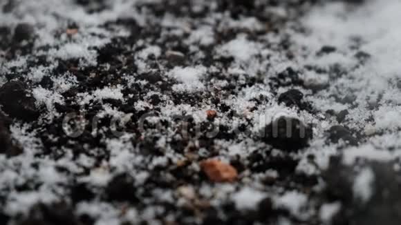 雪花落在黑暗的地面上手持摄像机视频的预览图