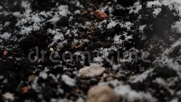 雪花落在黑暗的地面上摄像机倾斜视频的预览图