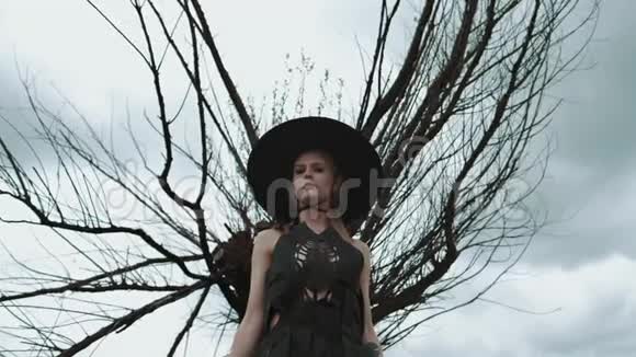 戴着黑帽子的金发美女的肖像女孩站在大干树下视频的预览图