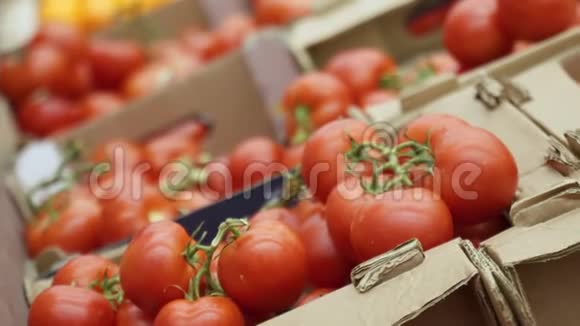 从商店货架杂货店购物中挑选红番茄的女人视频的预览图