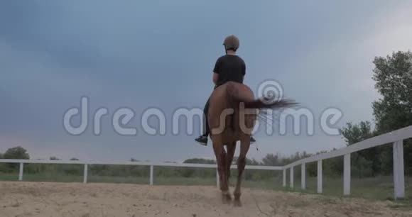 日落时骑手骑马女骑手晚上在蓝天背景下学习骑马动物视频的预览图