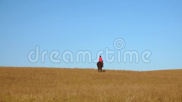 骑马的女骑手慢动作背面视频的预览图
