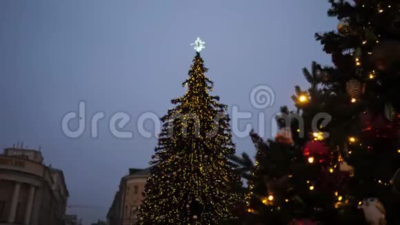 城市里的圣诞树标题地点视频的预览图