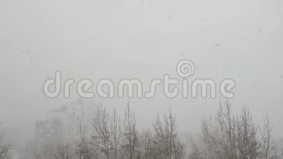 雪花飞舞的城市暴风雪中的建筑物和树木景观视频的预览图