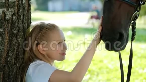 少女骑师坐在树下的绿色空地上给一匹马一个苹果然后抚摸它视频的预览图
