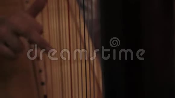 弹竖琴的女孩弦乐器和年轻妇女视频的预览图