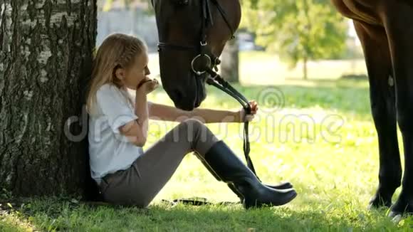 少女骑师坐在树下的绿色空地上给一匹马一个苹果然后抚摸它视频的预览图