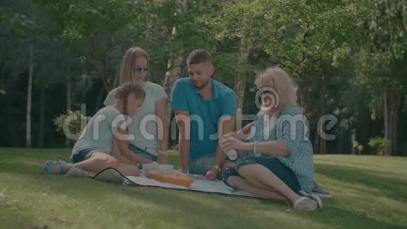 欢乐的家庭安排夏日公园野餐视频的预览图