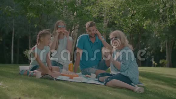 积极的多代家庭享受野餐视频的预览图