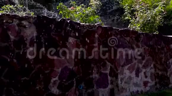 美丽的景观自动喷水灌溉家居花园的草坪视频的预览图