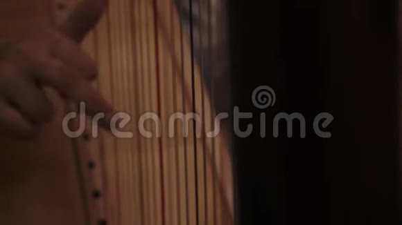 弹竖琴的女孩弦乐器和年轻女性触摸弦视频的预览图