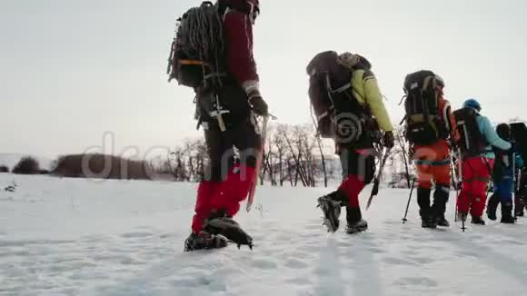 一群穿着钉鞋的登山者慢慢地走到雪表面的那条线上在他们身后背着沉重的背包和一个视频的预览图