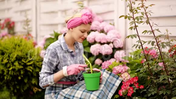 微笑的女人在她的院子里挖花浇水一个漂亮的女人关心粉红色的绣球花的概念视频的预览图