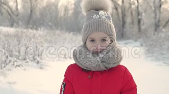一个穿着针织围巾和帽子的小女孩在雪地公园背景上的肖像公园里漂亮的女孩视频的预览图