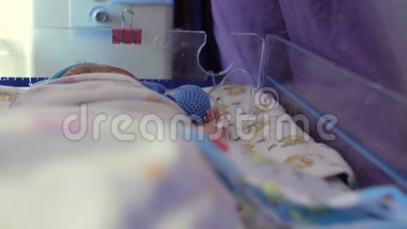 新生儿位于早产儿的特殊孵化器中是儿童的密集护理单元4k4k视频视频的预览图