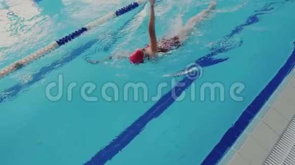 太慢了熟练的女游泳运动员在游泳池游泳和表演仰泳时的俯视图视频的预览图