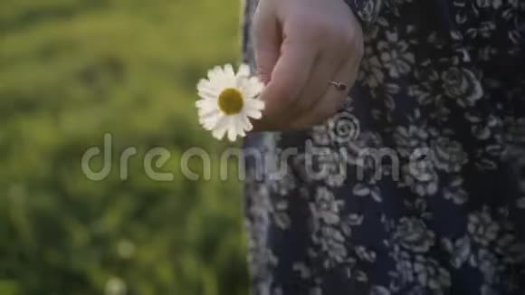 草地上的年轻女子视频的预览图