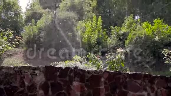 美丽的景观自动喷水灌溉家居花园的草坪视频的预览图