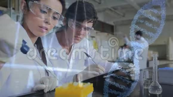 两位科学家在实验室进行研究视频的预览图