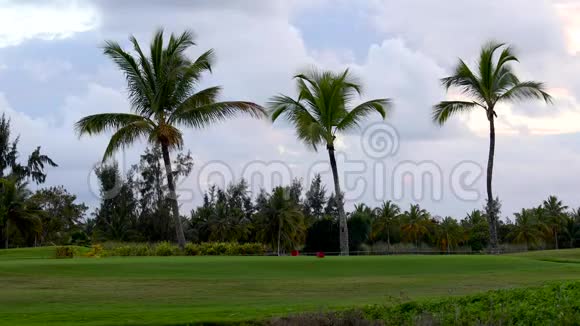 热带高尔夫球场上的棕榈树彩虹和戏剧性的晚霞视频的预览图