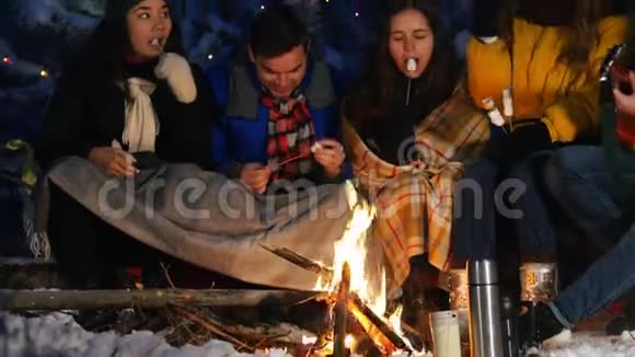 冬林之友群坐在篝火旁吃棉花糖一起度过时光一起玩耍视频的预览图