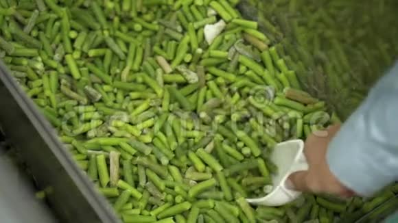一只雌性的手用勺子把一个绿色冷冻的串豆从冷藏箱里倒入袋子里视频的预览图