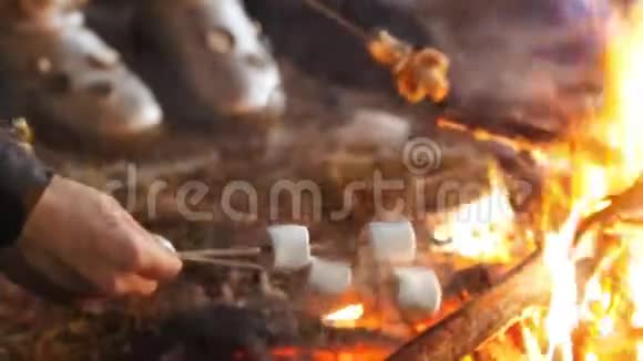 一群朋友在树林里的火边玩得很开心油炸棉花糖和蘑菇视频的预览图