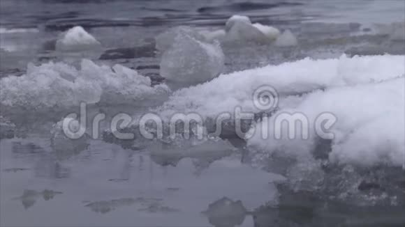 浮冰在水面上视频的预览图