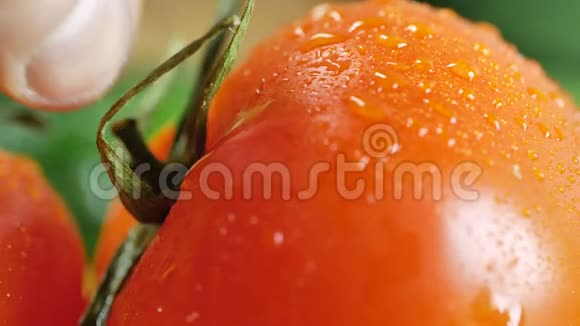 一个红番茄的特写镜头上面溅满了水一个人手拿一个西红柿作为肉桂视频的预览图