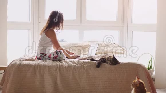 年轻漂亮的黑发女人坐在靠窗的床上用笔记本电脑工作缅因州的猫坐在附近3840x2160视频的预览图
