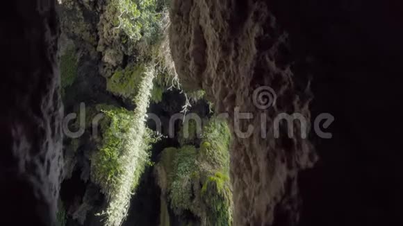 洞穴瀑布热带雨林景观水流环绕着苔藓的岩石和美丽的丛林景色视频的预览图