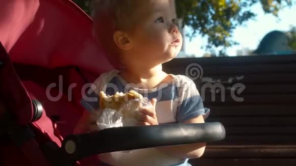 小孩子坐在婴儿车里吃面包视频的预览图