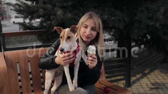 快乐的宠物主人吃冰淇淋和她的狗坐在长凳上摆姿势女人爱抚一只狗视频的预览图