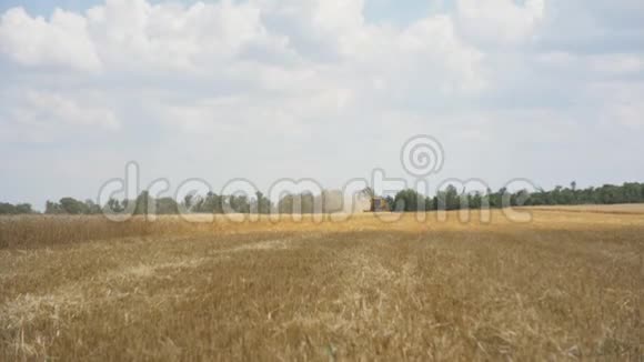 从一片成熟的小麦作物的土地上在一片白色蓬松的蓝天背景上的黄色收割机的总计划视频的预览图