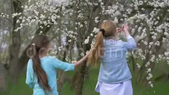 两个未成年女孩折断了一棵开花树的枝条春暖花开的季节大自然中有趣的游戏视频的预览图