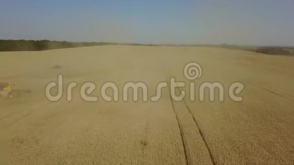 农业录像显示收割机正在收集收割的麦粒无人机飞回来显示宽角4K视频的预览图