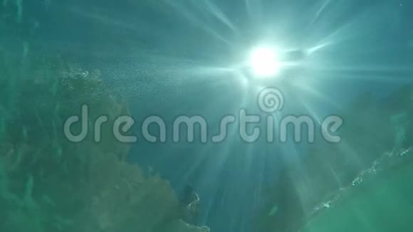 从水中看太阳光线视频的预览图