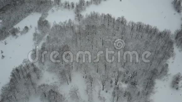 雪天野生动物的美丽鸟瞰覆盖松树的冬山低飞度假酒店视频的预览图