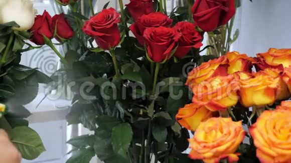 在花店用喷雾器喷洒玫瑰花近距离观看视频的预览图