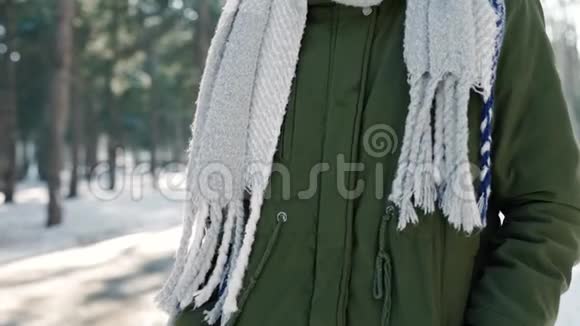 在阳光明媚的夏日在白雪皑皑的冬季公园里戴着羊毛帽和长暖围巾的美丽微笑女子的特写肖像视频的预览图