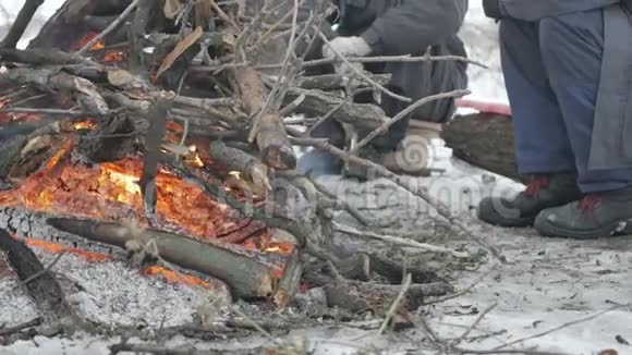 冬天森林里的篝火视频的预览图