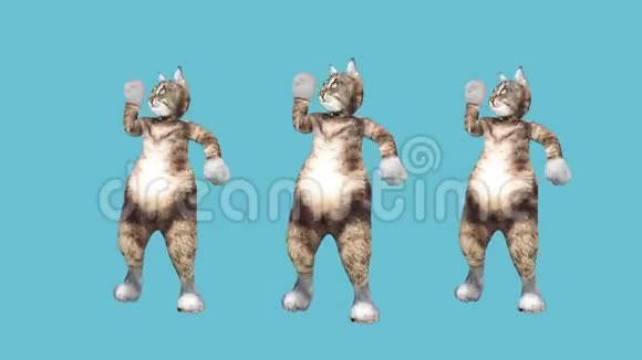 概念酷和有趣的宠物猫舞嘻哈风格移动到节拍动画视频的预览图