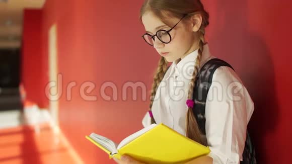 一个带书的漂亮女学生的肖像女孩戴着眼镜穿着白衬衫孩子站着视频的预览图