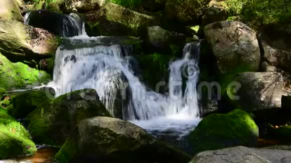 水在森林中的绿色苔藓岩石上级联视频的预览图