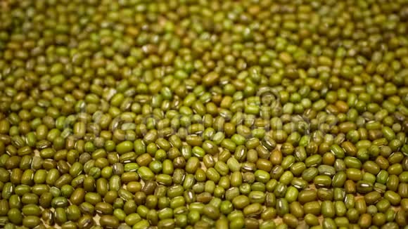青绿绿豆或克豆麻生植物豆类为健康营养超级食品印度菜视频的预览图